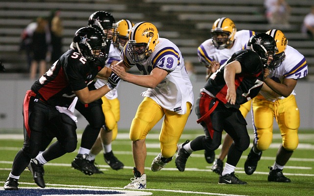 之间的合作 之间的合作